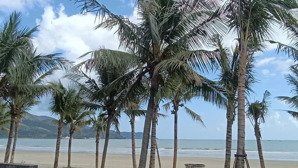 bán lô đất mặt tiền thạch lam- an hải đông - sơn trà.