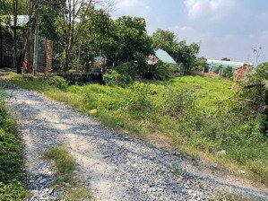 500m2 có 300m2 thổ cư. bình mỹ củ chi