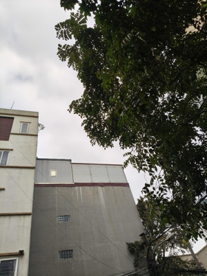 bán đất tại phố mai dịch, cầu giấy, hà nội, giá siêu hời 26,2 tỷ, 96m2, ô tô tránh.