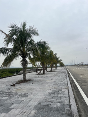 bán đất diễn loan thống nhất hoành bồ quảng ninh