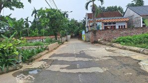 chính chủ bán đất trại hồ hòa lạc 100m, full thổ cư, sinh lời tốt giá chỉ nhỉnh 2 tỷ