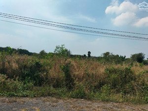 bán đất diện tích lớn xã phước hiệp, huyện củ chi, tp. hcm