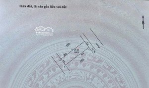 100m, đất đg trại chăn nuôi tân ước, với siêu phẩm vip 2 mặt đường, vỉa hè ô tô tránh, trục chín