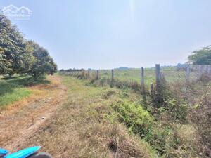 3,8 công đất vườn (3800m2) đã rào lưới B40. 1,1 tỷ