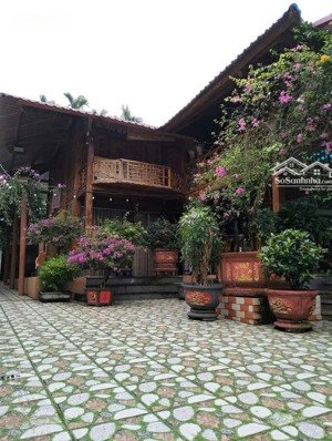 đi úc cần bán gấp nhà vườn đầy đủ nhà sàn và cảnh quan tại tp hoà bình 968m(170m đất ở) chỉ 8.8 tỷ