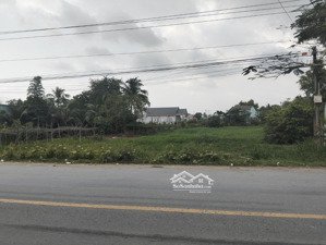 1784m2 đất mặt tiền đường nhựa mỹ yên - tân bửu sát bình chánh