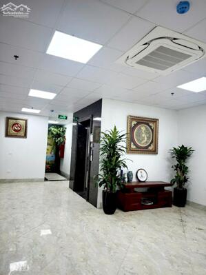 Nhà mặt ngõ ô tô Thanh Nhàn, 120m2 x 9T thang máy, MT 5.8m, giá 46.5 tỷ, 0985868893