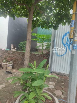 đất mặt phố bắc từ liêm 185m2, mặt tiền 7m, chỉ 152 triệu/1m2, đón quy hoạch đại lộ tây thăng long