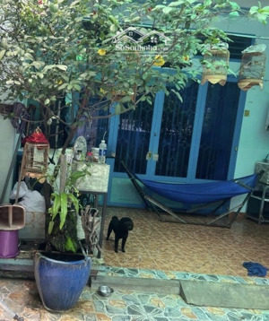 nhà c4, hẻm xe hơi đỏ cửa, 6x17m nở hậu, 3pn, lê văn thịnh q2