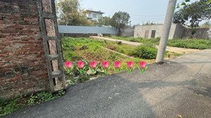 bán 45m2 thôn nhì- vân nội ngõ nông, ô tô vào đất thoả mái, mua ở, đầu tư hoặc tíh luỹ tài sản ok