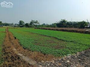 Lô Đất đẹp HXH Trung Đông 7,TTT , DTx500m2 .Giá chỉ 2.25 tỷ (TL).