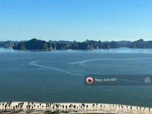 quỹ 10 căn studio, 1pn, 2pn -ck 17% - full nột thất view vịnh -sun centro town hạ long