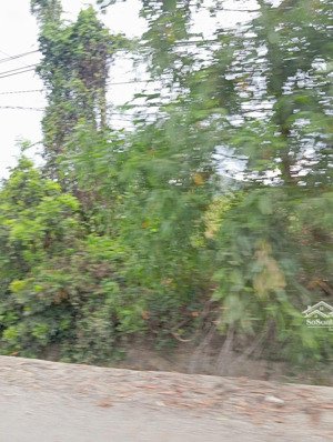 bán đất thôn xuân thọ, xuân sơn 119,7m² đất ở, mặt tiền bê tông 4m, ngang 5m chỉ 5 triệu/m²