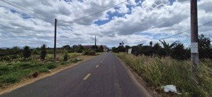 mặt tiền âu cơ trung tâm tân lạc, bảo lâm | đất đẹp mở homestay nhà vườn đầu tư