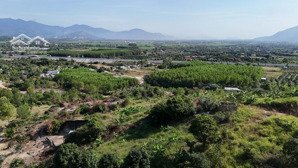 bán đất làm kho xưởng, khai thác khoáng sản rộng 5 hecta xã suối tiên, diên khánh, khánh hoà