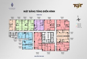 quỹ bán cuối cùng discovery central lê trực- căn hộ 51m 1 ngủ - nhận nhà ở ngay - ký trực tiếp cdt