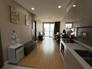 bán căn hộ sky89. 55m2, 1pn, 1wc full nt đẹp, view sông. giá: 4,3 tỷ, sổ hồng