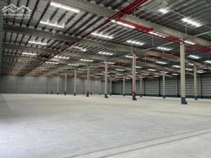 CHO THUÊ KHO XƯỞNG MỚI ĐẸP BẾN LỨC, LONG AN 12.800M2 GIÁ RẺ- ĐƯỜNG CONT 24- ĐIỆN 1000KVA
