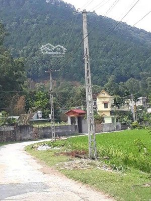 gđ cần bán mảnh đất xã thanh cường, thanh hà, hải dương, khổ đất rất đẹp 23m x 50m