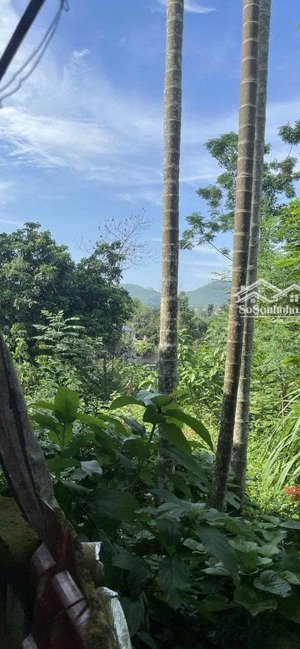 nhà tôi cần bán nhà kết hợp sân vườn rộng gần 1000m2, thửa vuông vắn rất đẹp, mặt tiền tận 15m