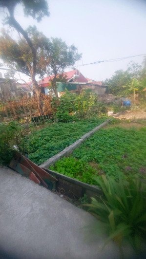 bán đất thị trấn phú xuyên, phú xuyên, thường tín 50m gần hồ gần ôtô giá chỉ 1,45 tỷ.