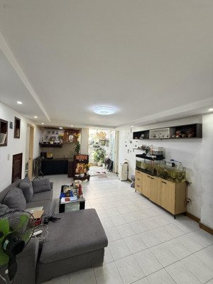 cần bán căn penthouse 4pn tại chung cư mỹ thuận