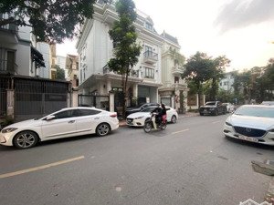 chủ mót bán biệt thự 190m2 rộng 14m biệt thự đơn lập siêu vip-mặt phố thọ tháp-kinh doanh đỉnh