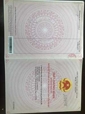 bán nhà 5pn 6wc- view mặt tiền nguyễn bỉnh khiêm - gần trục phạm văn đồng