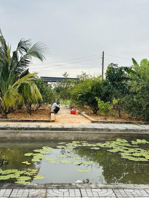 bán đất sẵn khuôn viên nhà vườn, bình mỹ