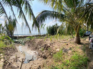 đất ven sông mekong 379tr/1.000m2 | bán trọn 6.969m2