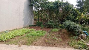 chính chủ cần bán gấp lô đất 66m2 giá chỉ nhỉnh 3 tỷ siêu đẹp tại tân quang - hưng yên