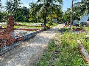 bán đất nền thổ cư đường tân long, xã tân nhựt, bình chánh