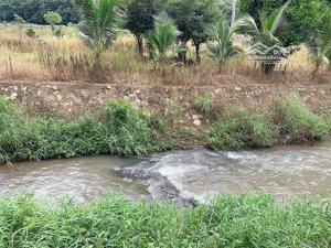 bán khoảng 5 sào (5069m2) đất xã bình ba, huyện châu đức, brvt. giá 5 tỷ.