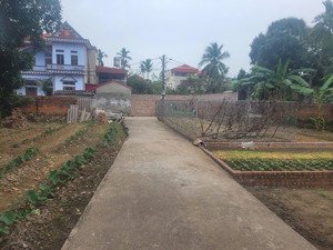 bán đất tại đình trung, thư lâm, hà nội, giá giảm sốc 2,98 tỷ dt 49m