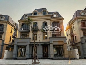 chính chủ bán bt song lập 170m2 phố đi bộ kinh đô ánh sáng sẵn sổ đỏ tại vin ocp2 lh : 