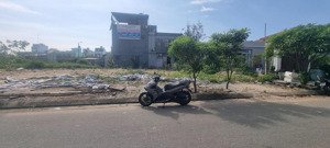 đất biển đông hải đường phan đình thông