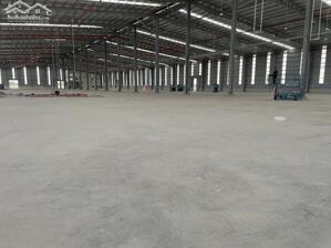 CHO THUÊ NHÀ XƯỞNG 25.000m² KCN THUẬN THÀNH, BẮC NINH | XƯỞNG MỚI, Chữa cháy tự động