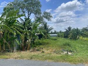 Đất Mt đường Đỗ Văn Giàu, An Vĩnh Ngãi TP Tân An