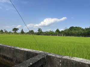 bán đất tp hcm 11600 m2 view lúa giá rẻ