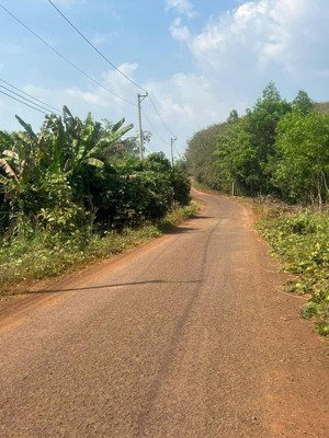 cần bán 3700m2 đất vườn để trả lương tết giá 185tr/s, sổ riêng