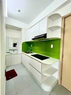 cho thuê chung cư 1pn đủ nội thất view hồ 4triệu500