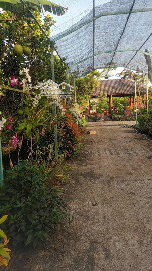 bán đất tại sông thao, trảng bom, đồng nai, 2 tỷ / 1 sào, có vườn trái cây, chăn nuôi heo, gà, vịt