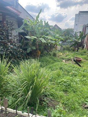 bán gấp đất 176.6m2 tại long bình tân, biên hòa, 6 tỷ