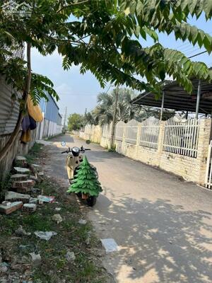 Đất thổ cư SHR 1/Huỳnh Thị Mài-Tân Hiệp-Hóc Môn.Dt 5,2x22~115m2~3,1ty