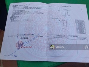 ngay mặt tiền tl3- kinh doanh buôn bán đa nghành nghề- làm kho xưởng gì cũng đều được ạ-