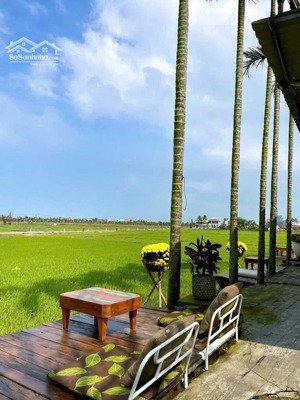 bán đất nền tại lê thánh tông, cẩm châu, hội an, giá siêu hời 41 tỷ, diện tích 1040m2