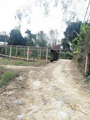 bán lô đất trồng cây lâu năm 365m2 gần nhà dân ở đông 2 mặt kiệt.