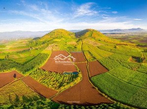 bán đất thổ cư khu r''chai, đức trọng, lâm đồng chỉ 1 tỷ, gần điểm giao cao tốc, sân bay liên khương