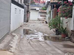 cần bán 55,5m2 sinh quả, bình minh ô tô đỗ cửa giá tốt