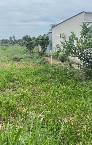 bán đất nền 420m2 tại phước trung, gò công đông, tiền giang, giá tốt 150 triệu